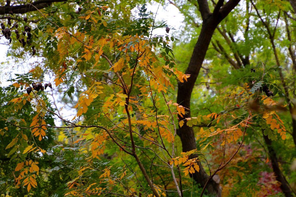 Photograph by Rouslan Chernyshev