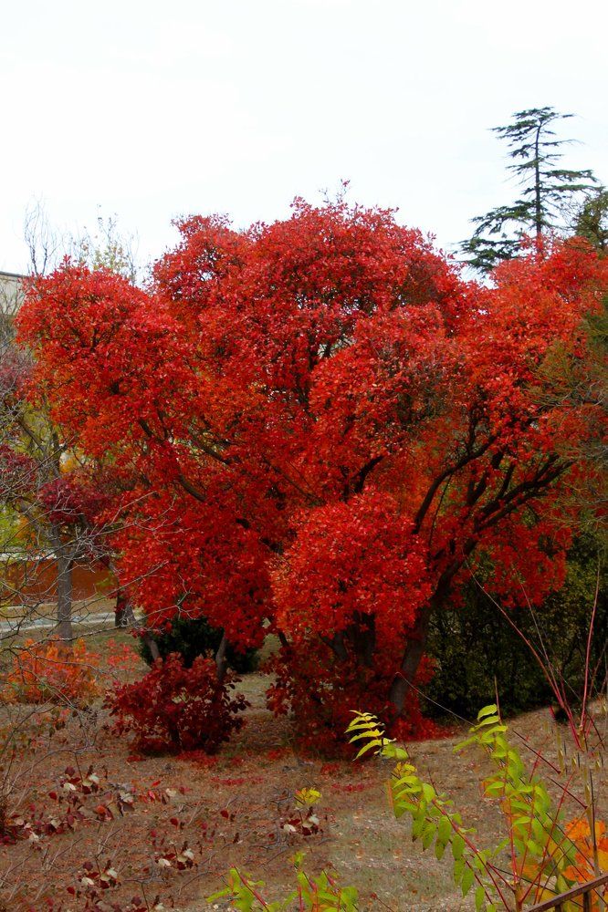 Photograph by Rouslan Chernyshev