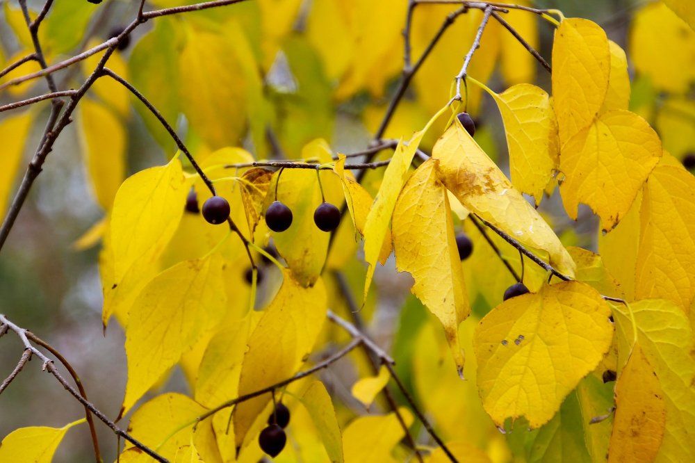 Photograph by Rouslan Chernyshev