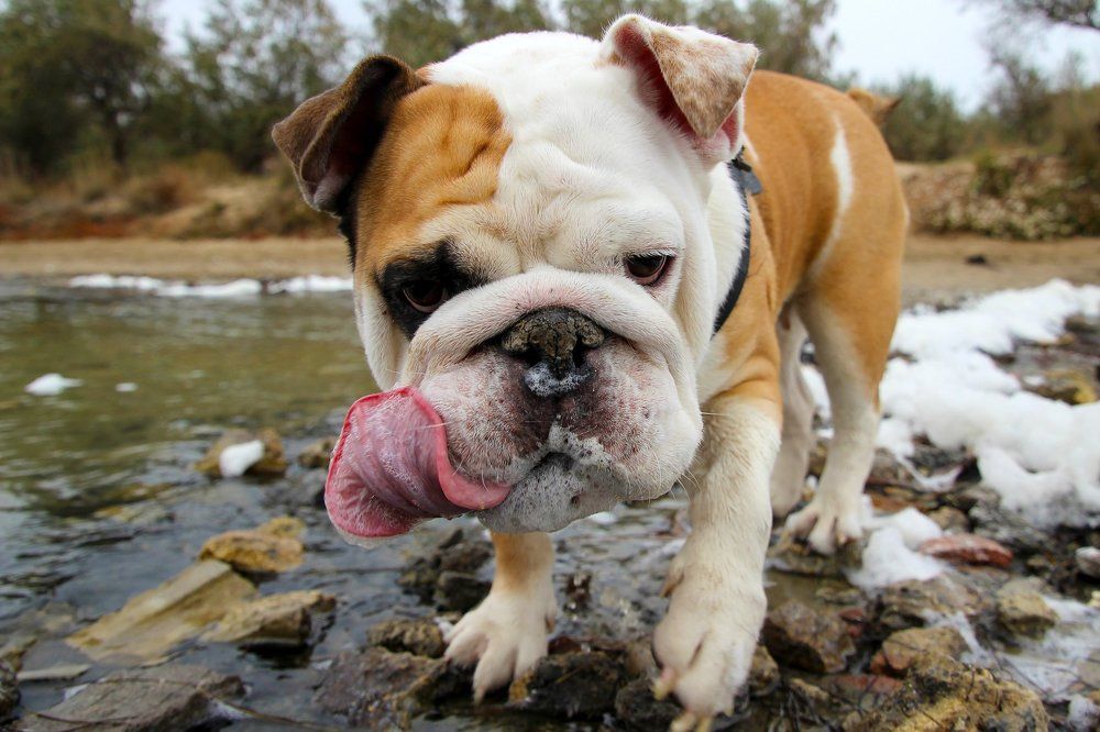 Photograph by Rouslan Chernyshev