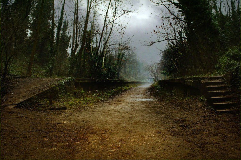 Дорога никуда