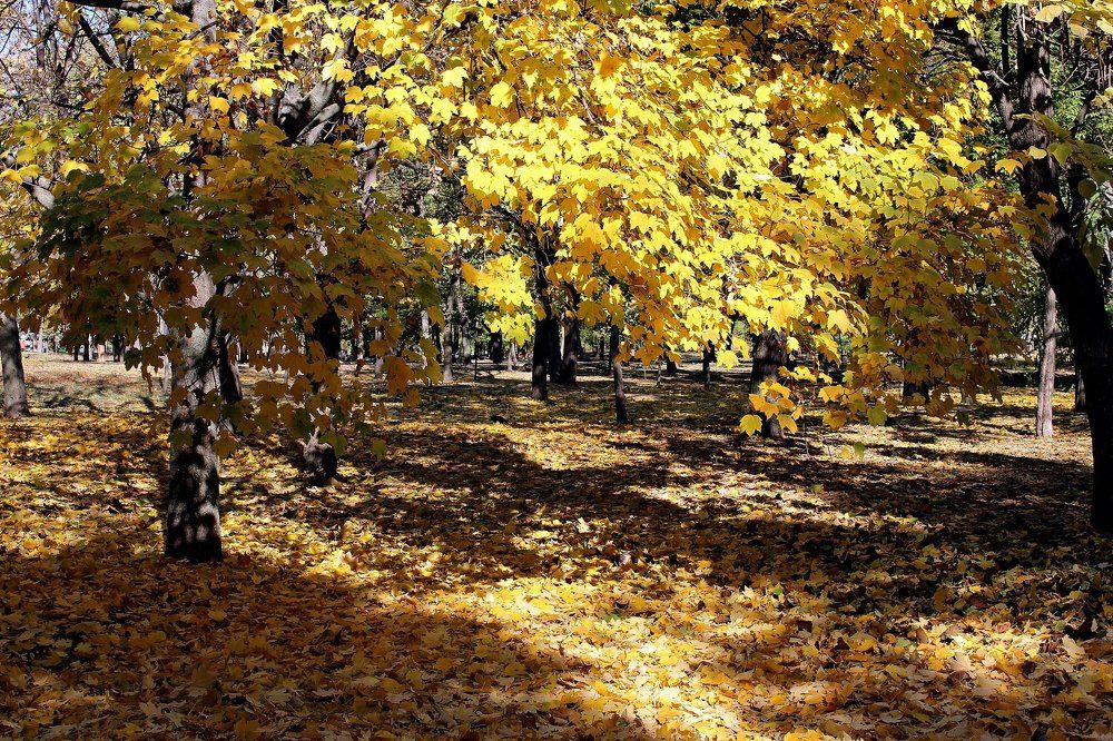 Теплый октябрь