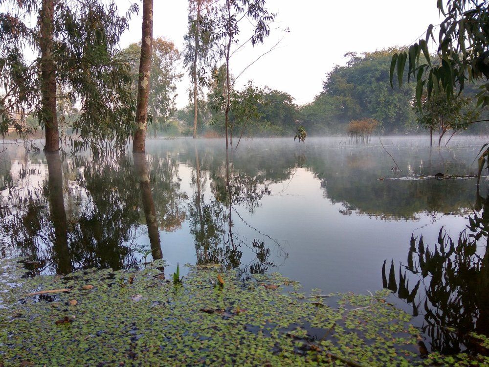 Early morning on river bed