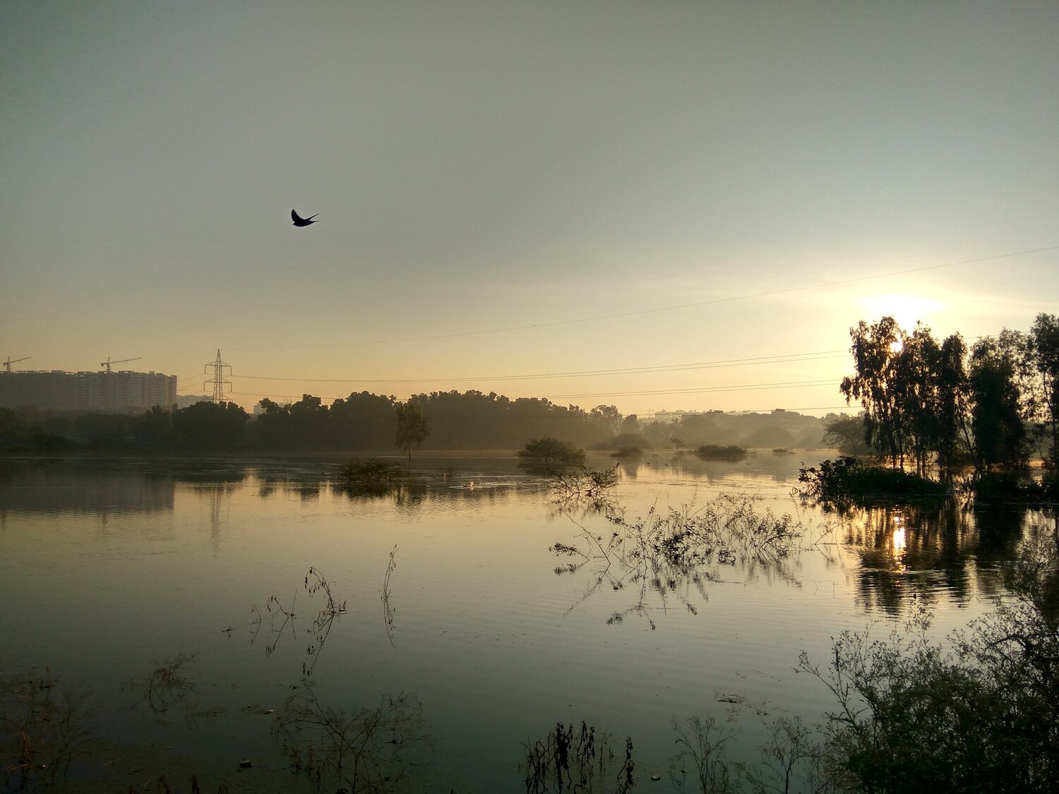 Beautiful morning