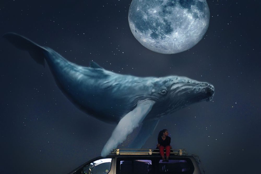 All of dreams