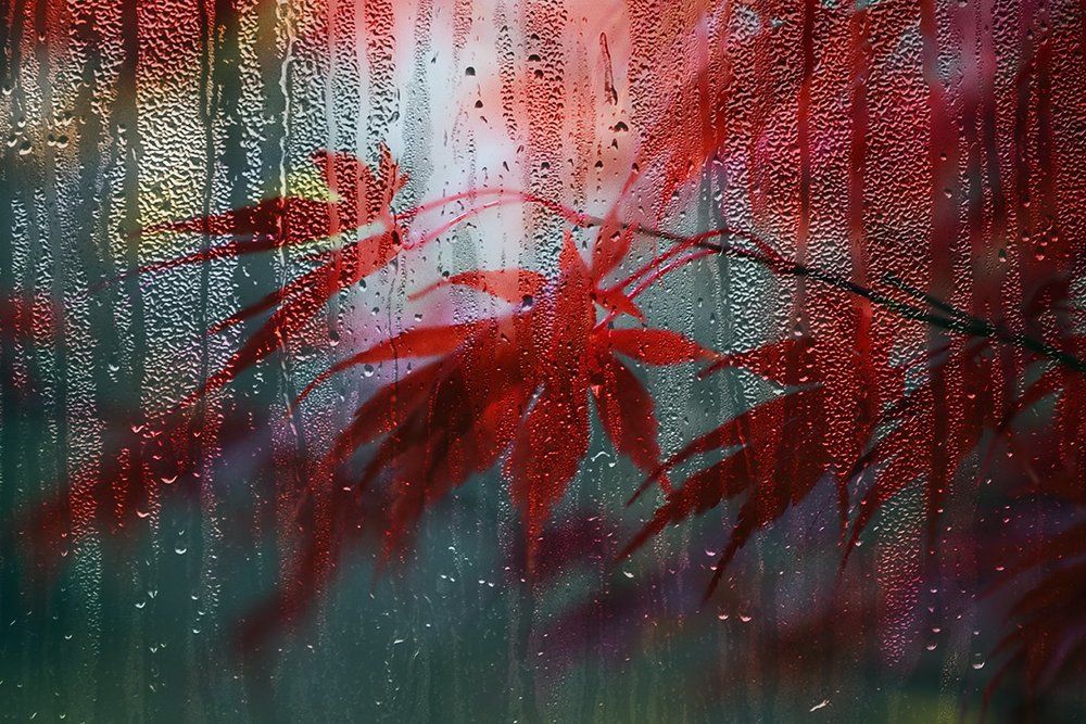 Настроение Осень.