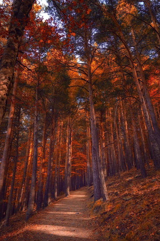 Primeros días de Otoño