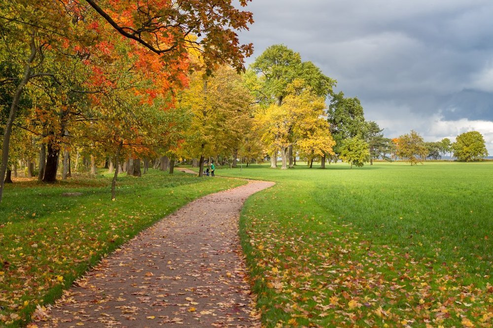 Немного красного