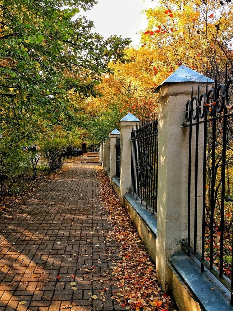 Осенняя улочка