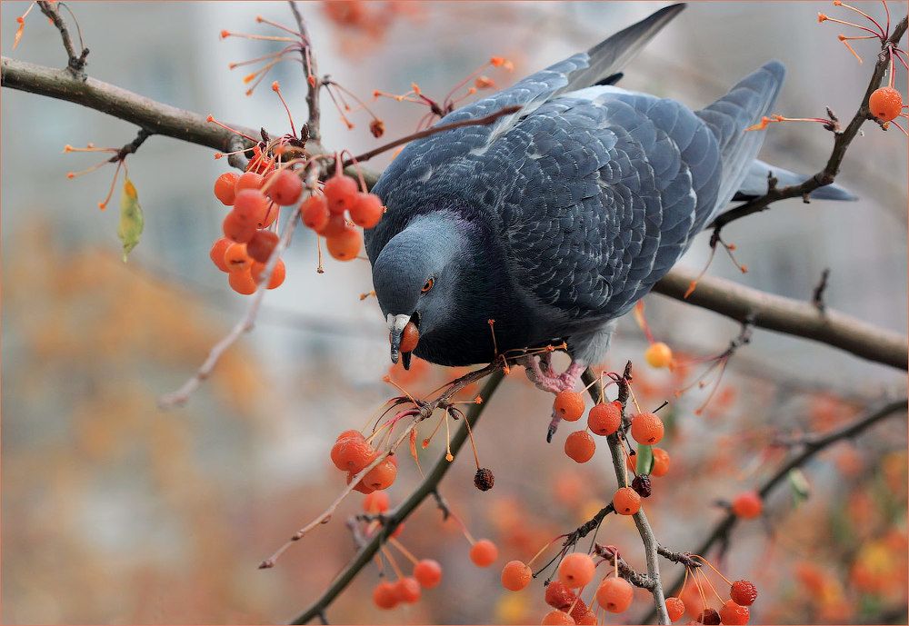 Не мешайте!