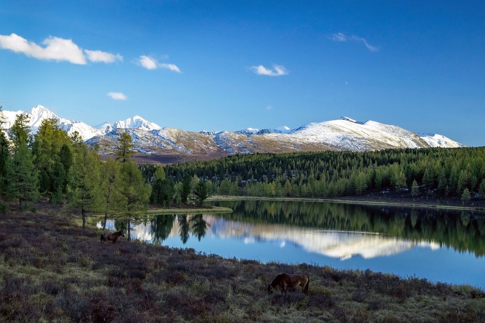 Еще раз про Киделю...