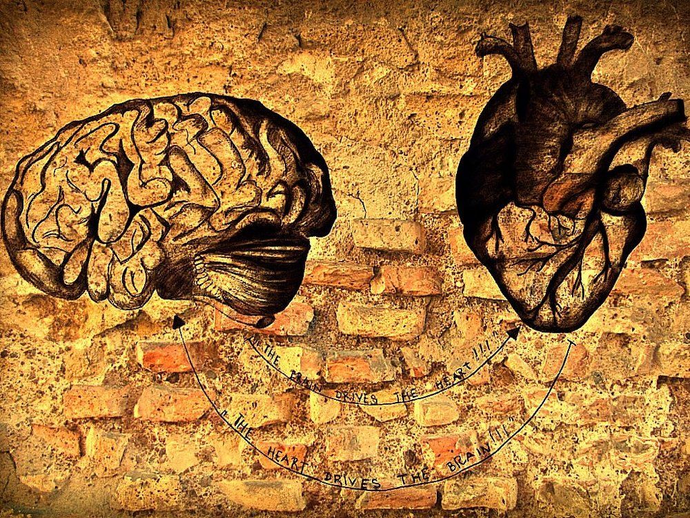 Heart & Brain