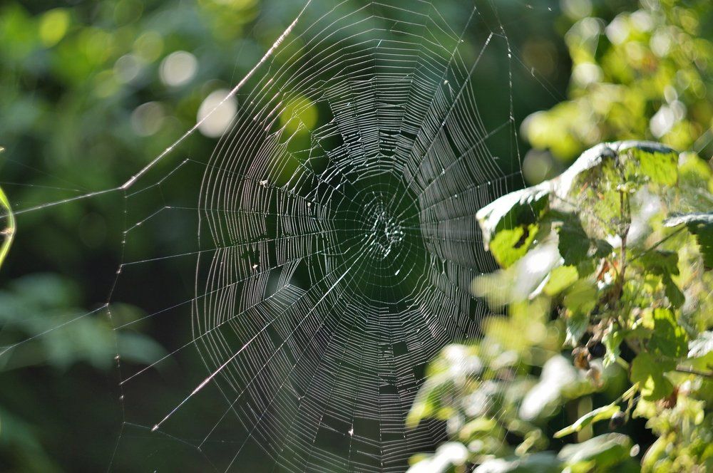 Вышел. Скоро буду.