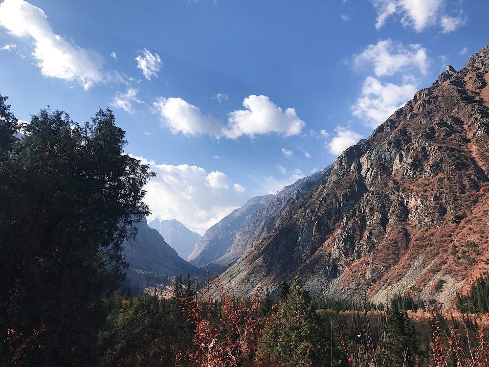 Краски осени