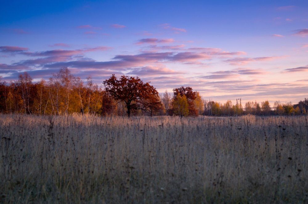 Утренние заморозки