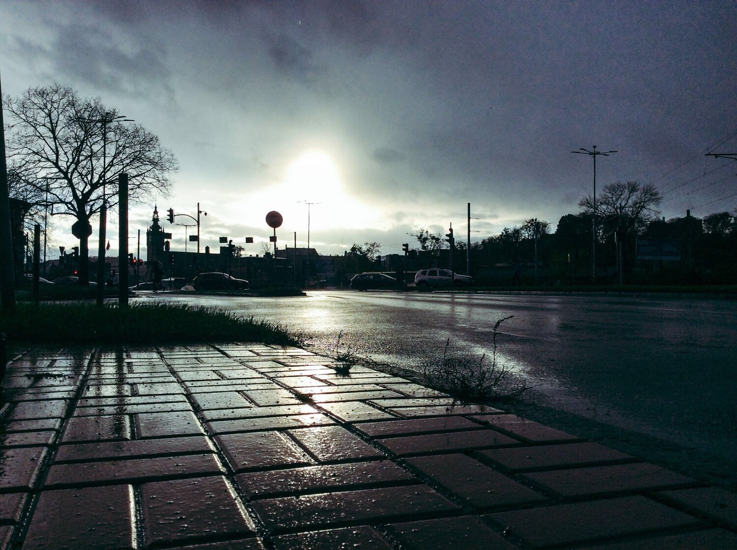 Raining day of freedom