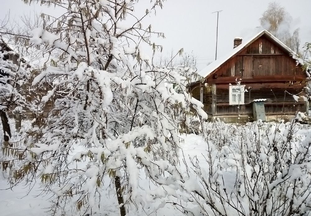 первый снег