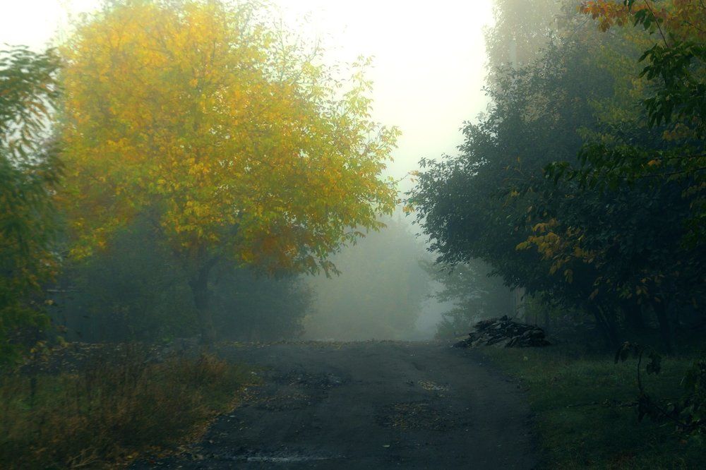 Туман на улицах городских окраин