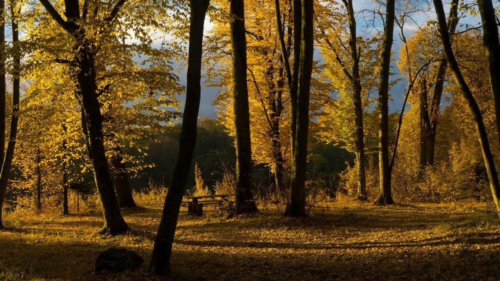 Photograph by Игорь Ткачев