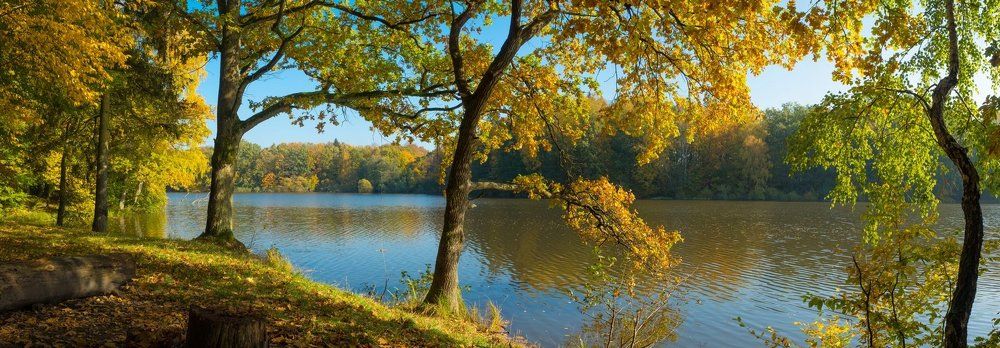 Photograph by Игорь Ткачев