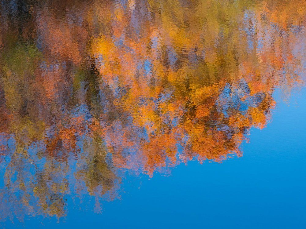 Photograph by Игорь Ткачев