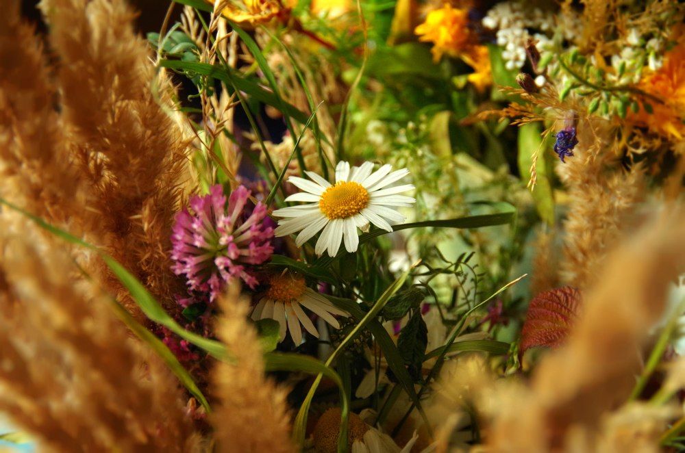 Осенний букет