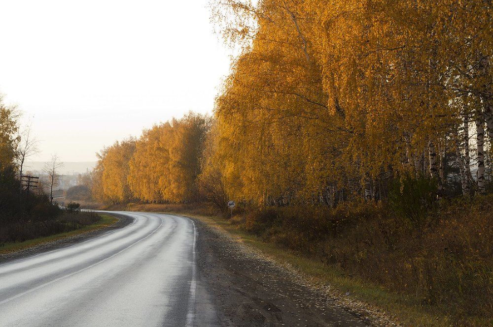 Дорога в осень
