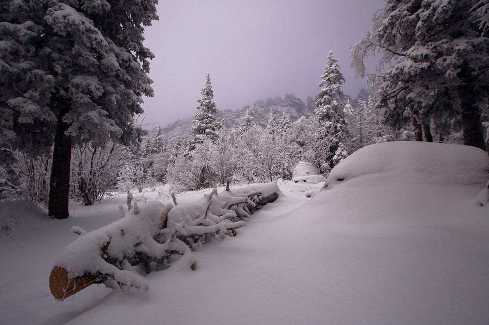 Первый снег