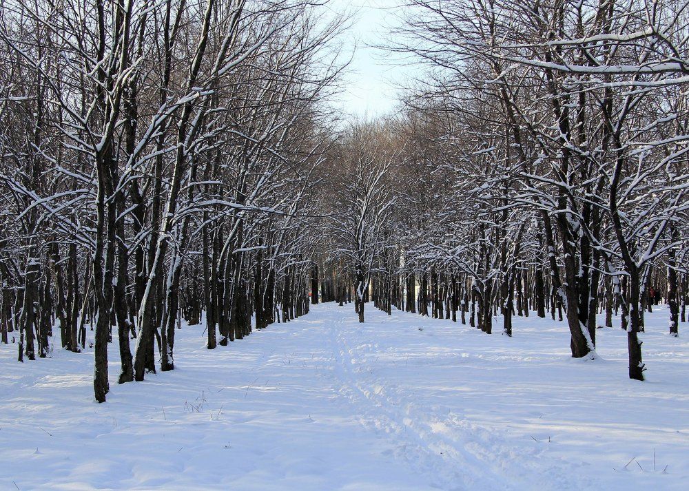 Начало зимы