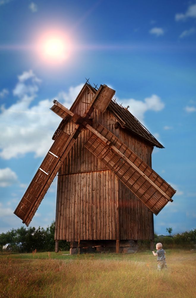 Маленький Дон-Кихот