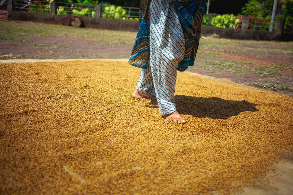 Шелушение риса