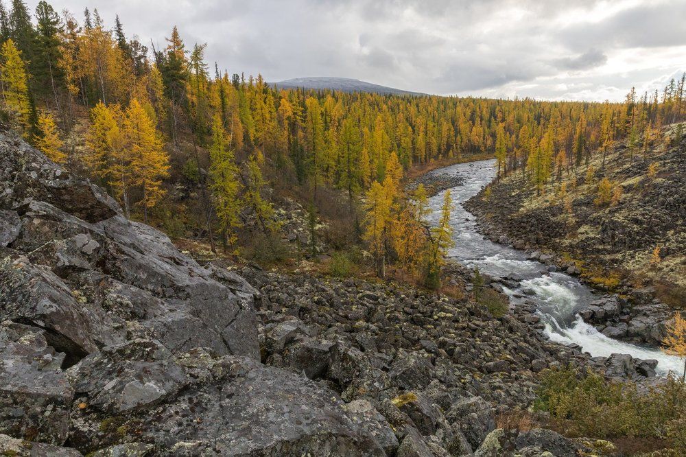 Сибирская осень. Туруханский край. Река Деленга.