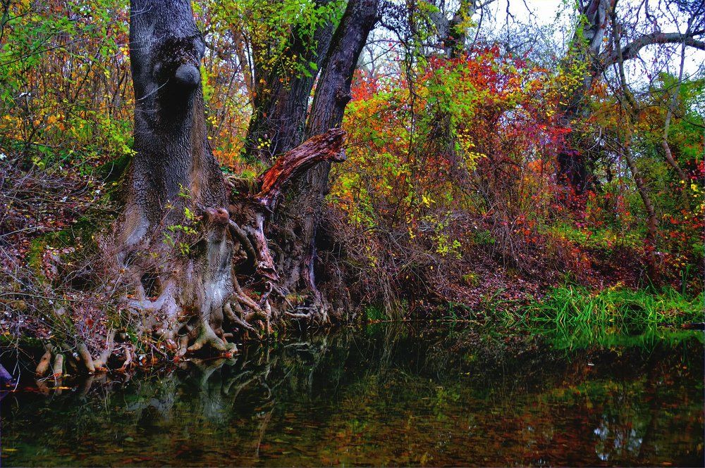 Осенняя сказка