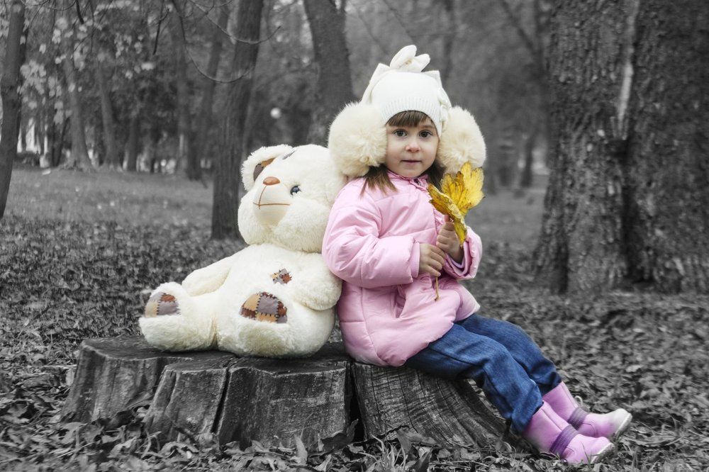 В лесу у Мишки