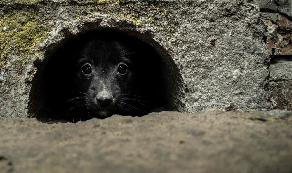 Какой он, этот мир...