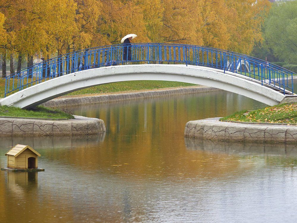 Photograph by Алексей Горшенин