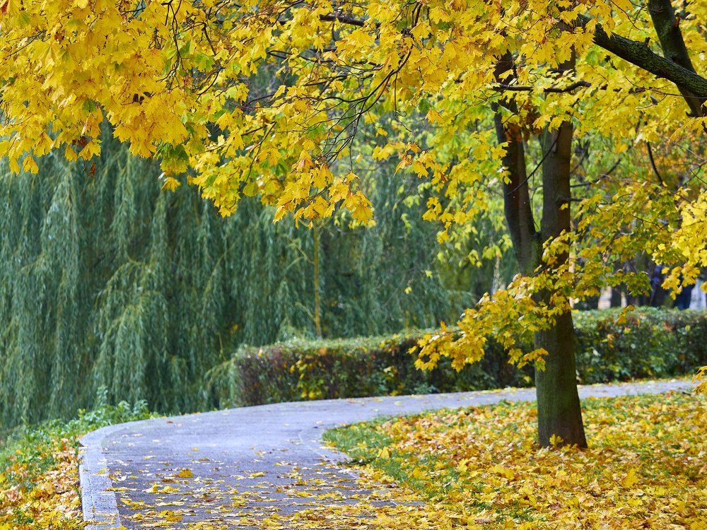 Photograph by Алексей Горшенин