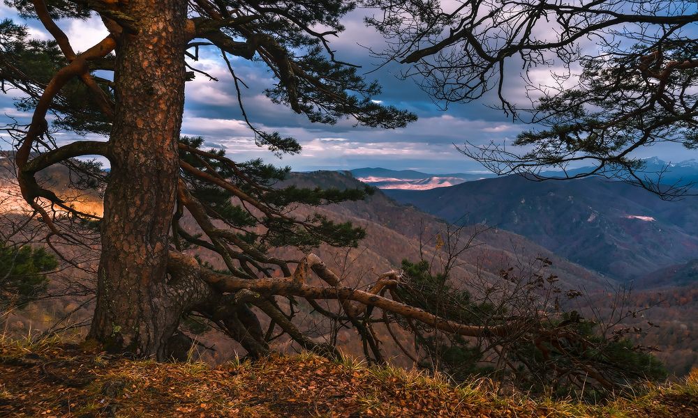 Жить на краю