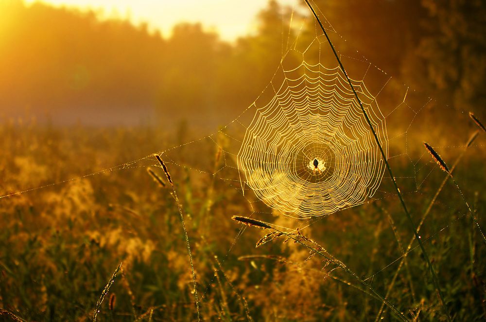 встречая новый день