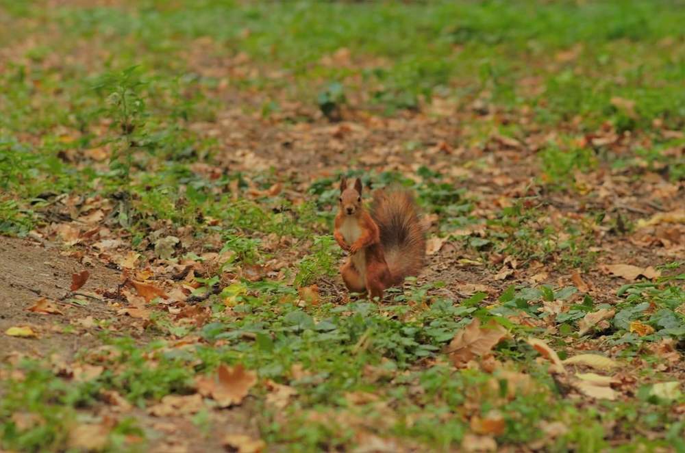 Словила момент)