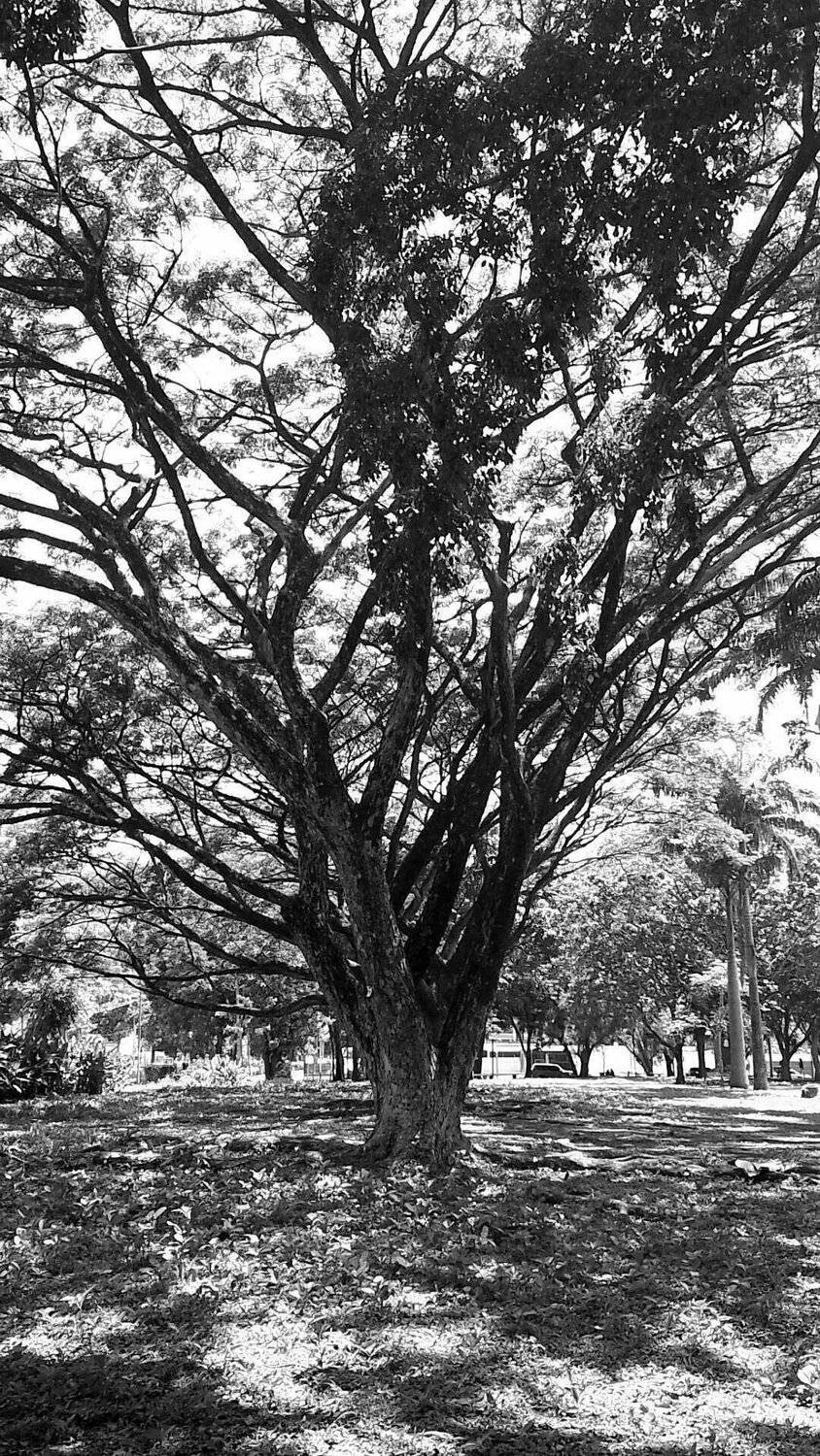 Black & White
