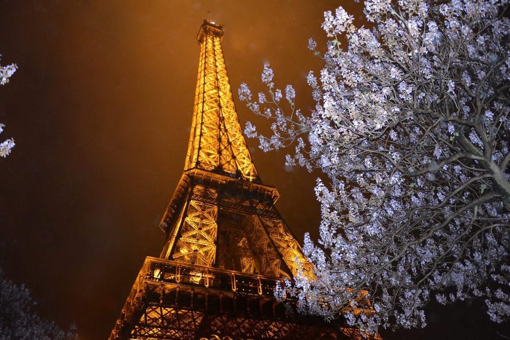 Photograph by Dragan Racicevic