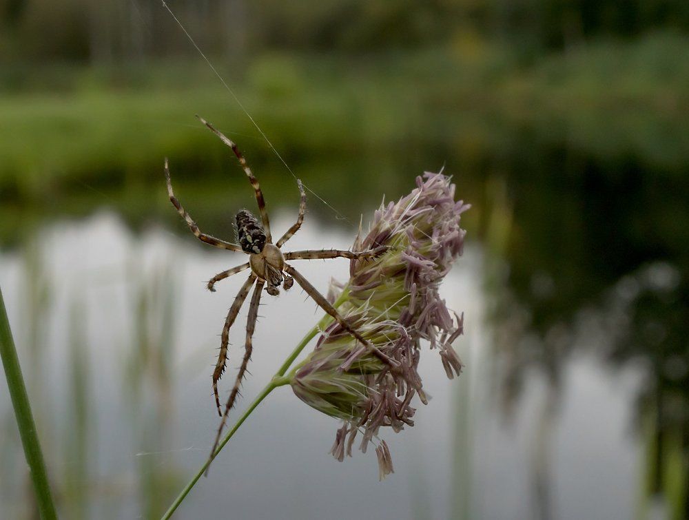 Photograph by Viktor Makarov