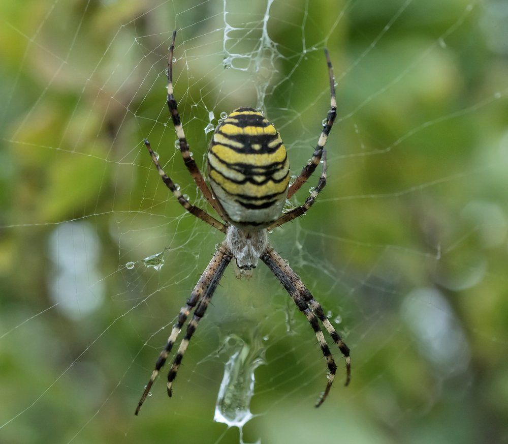 Photograph by Viktor Makarov