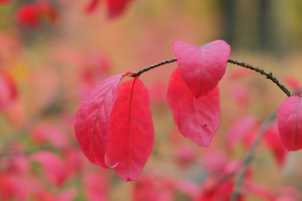 Photograph by Андрей