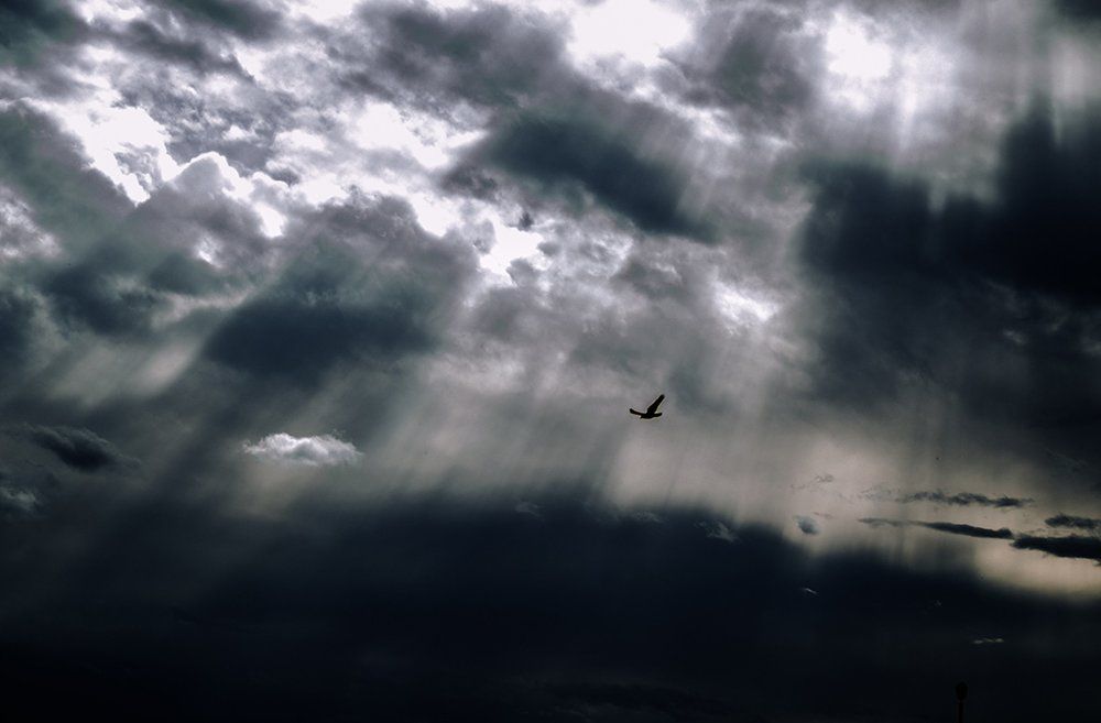 Несущий бурю