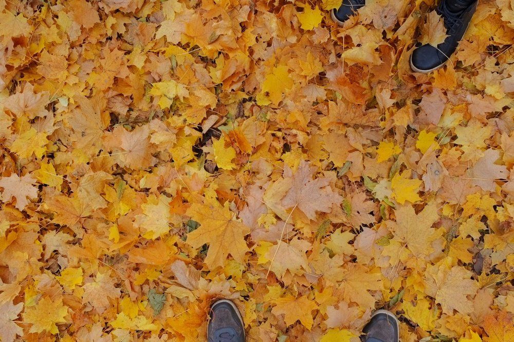 Photograph by Андрей