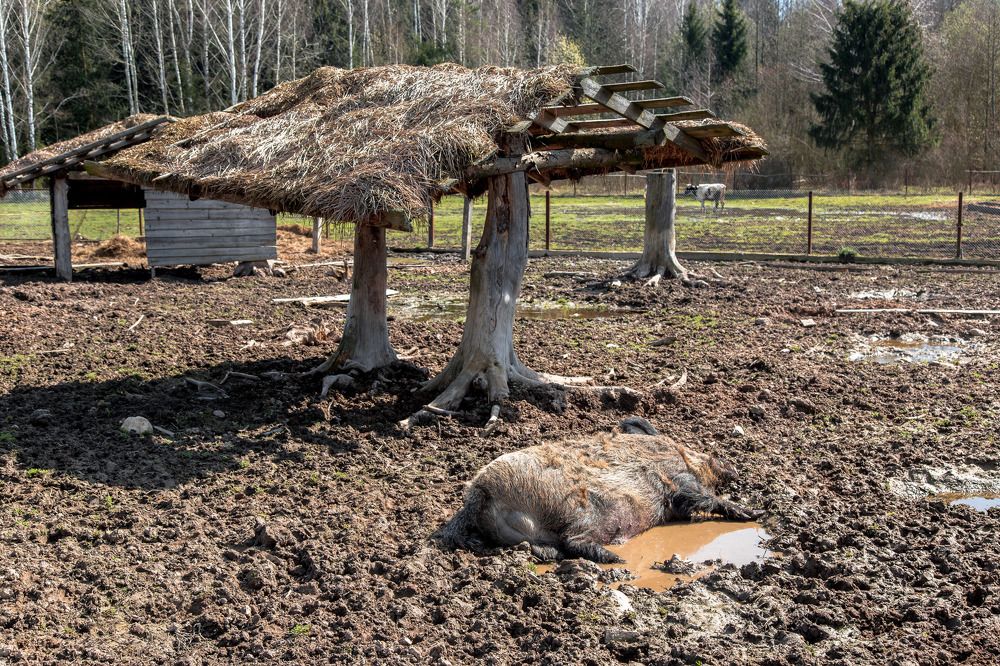 Photograph by Александр Ермоленко