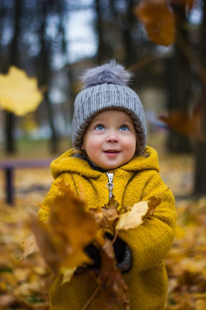 Очей очарованье