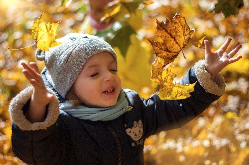 "Листопад, листопад Листья кружатся,  летят! Разноцветные, резные, Словно кистью расписные…" А Рябинка